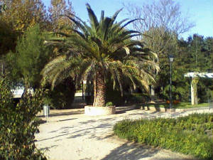 xee_ok963366-02-quintanar-de-la-orden.jpg